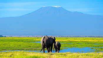 Mount Kilimanjaro, Tanzania